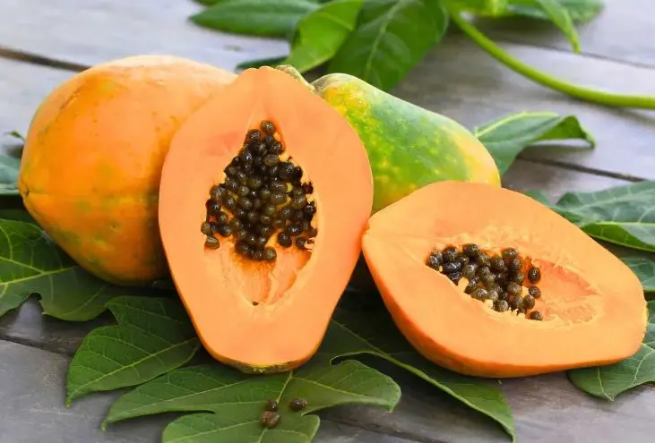Đu Đủ Chín Cây: Giá trị và lợi ích