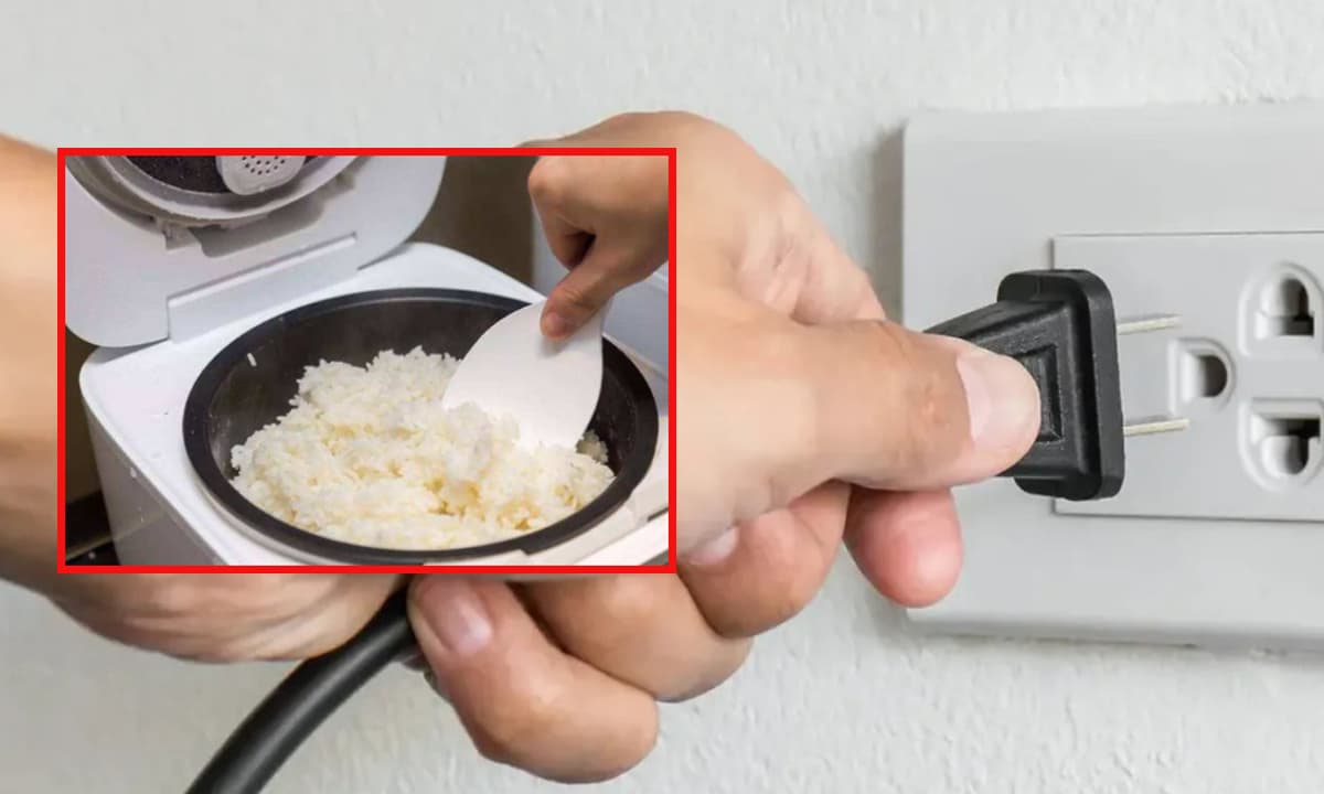 Các phương pháp vệ sinh nồi cơm điện
